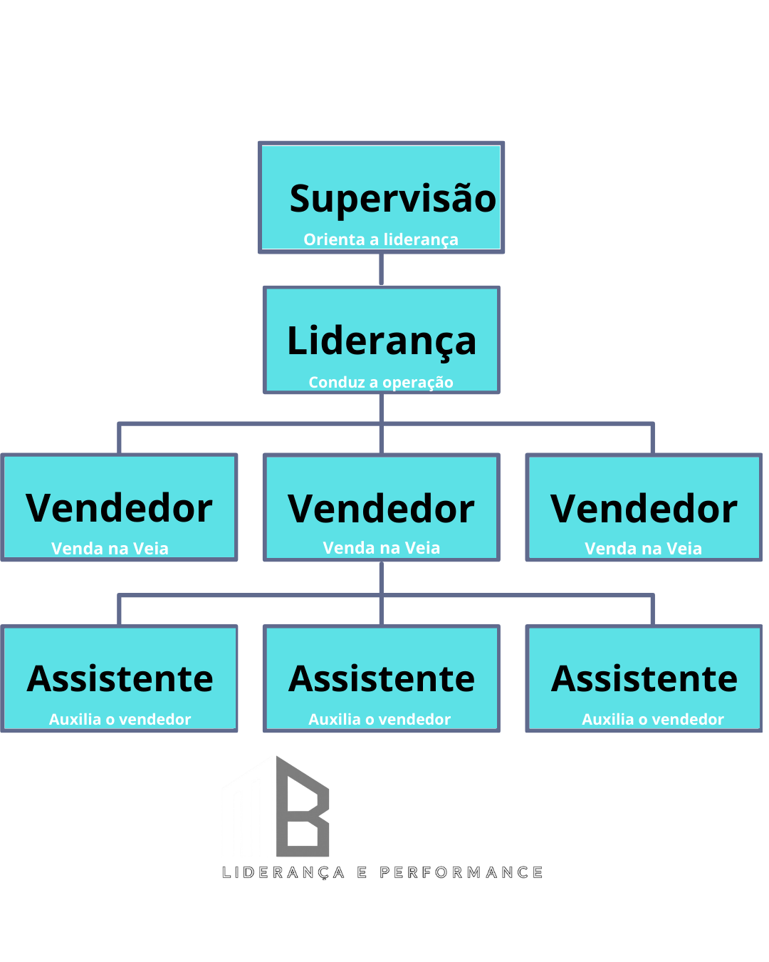 Estruturação da Área Comercial